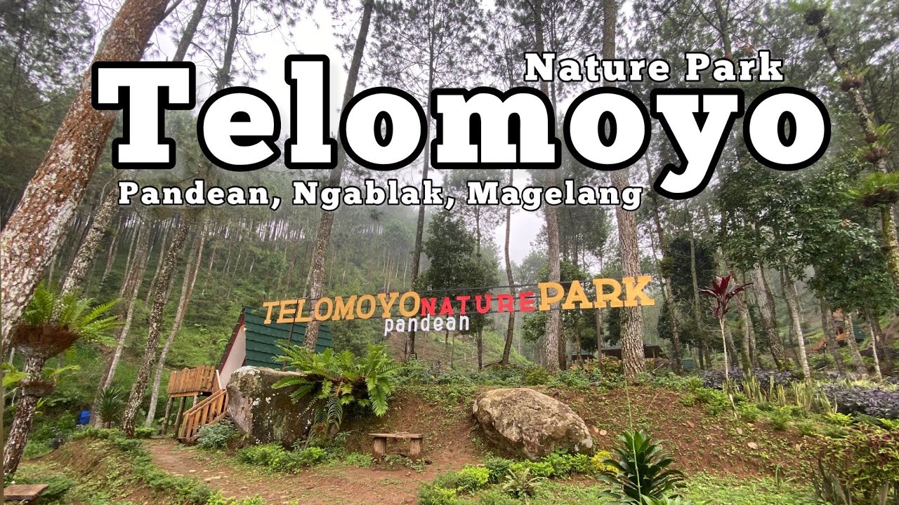 Telomoyo Nature Park: Jelajahi Keajaiban Alam yang Tersembunyi